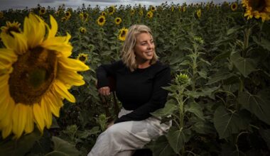 Peace-seekers pick their own sunflowers in a country field