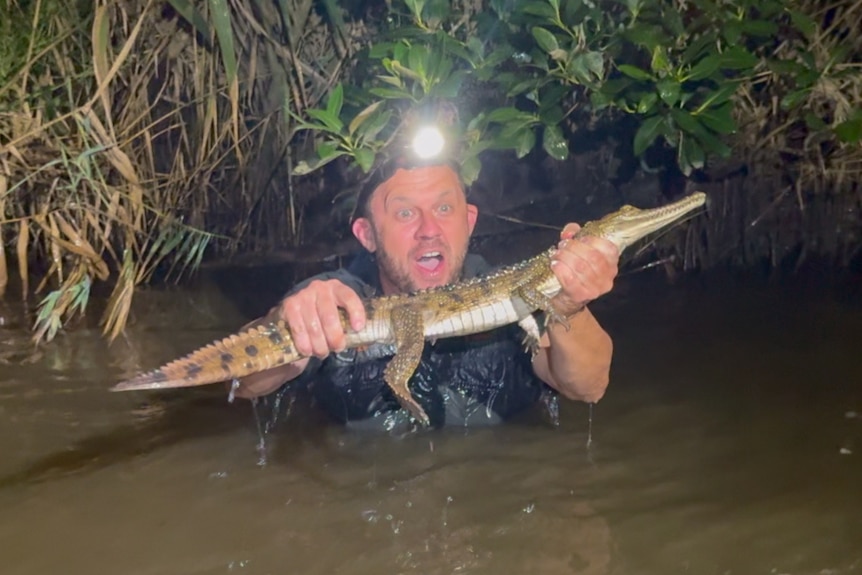 a man with a head torch on holding a small crocodile in a creek