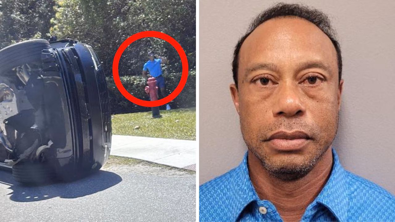 Golf 2026: Tiger Woods making a profit from polo shirt in DUI mugshot
