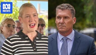 SA Liberals to preference One Nation over Labor