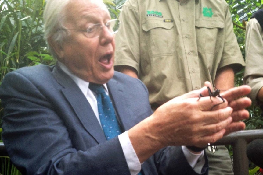 David Attenborough opens his mouth and appears to exclaim in surprise as he holds a black stick insect.