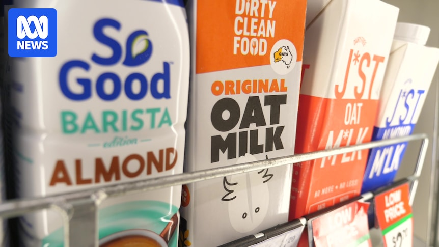 Dairy farmers want plant-based drinks to stop using the word 'milk'. But does it really confuse consumers?