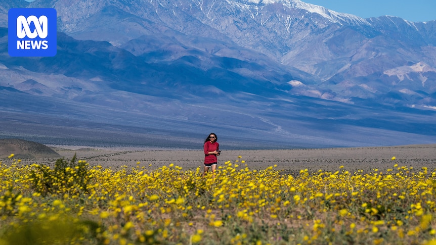 ABC Places quiz: Where in the world is this?