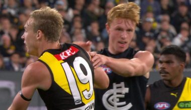 Harry Dean comments, interview, video, pushed Tom Lynch, Carlton Blues vs Richmond Tigers, latest news