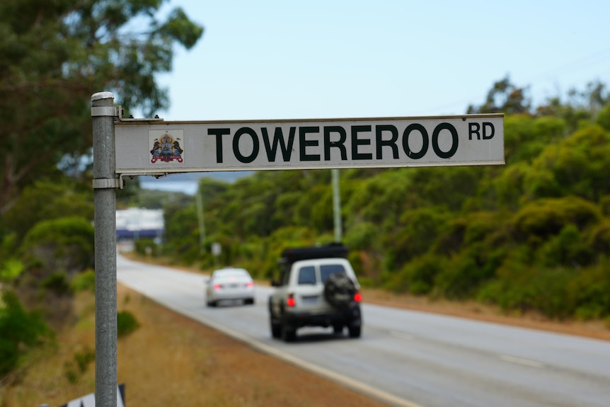 A road with light traffic and bush on either side.