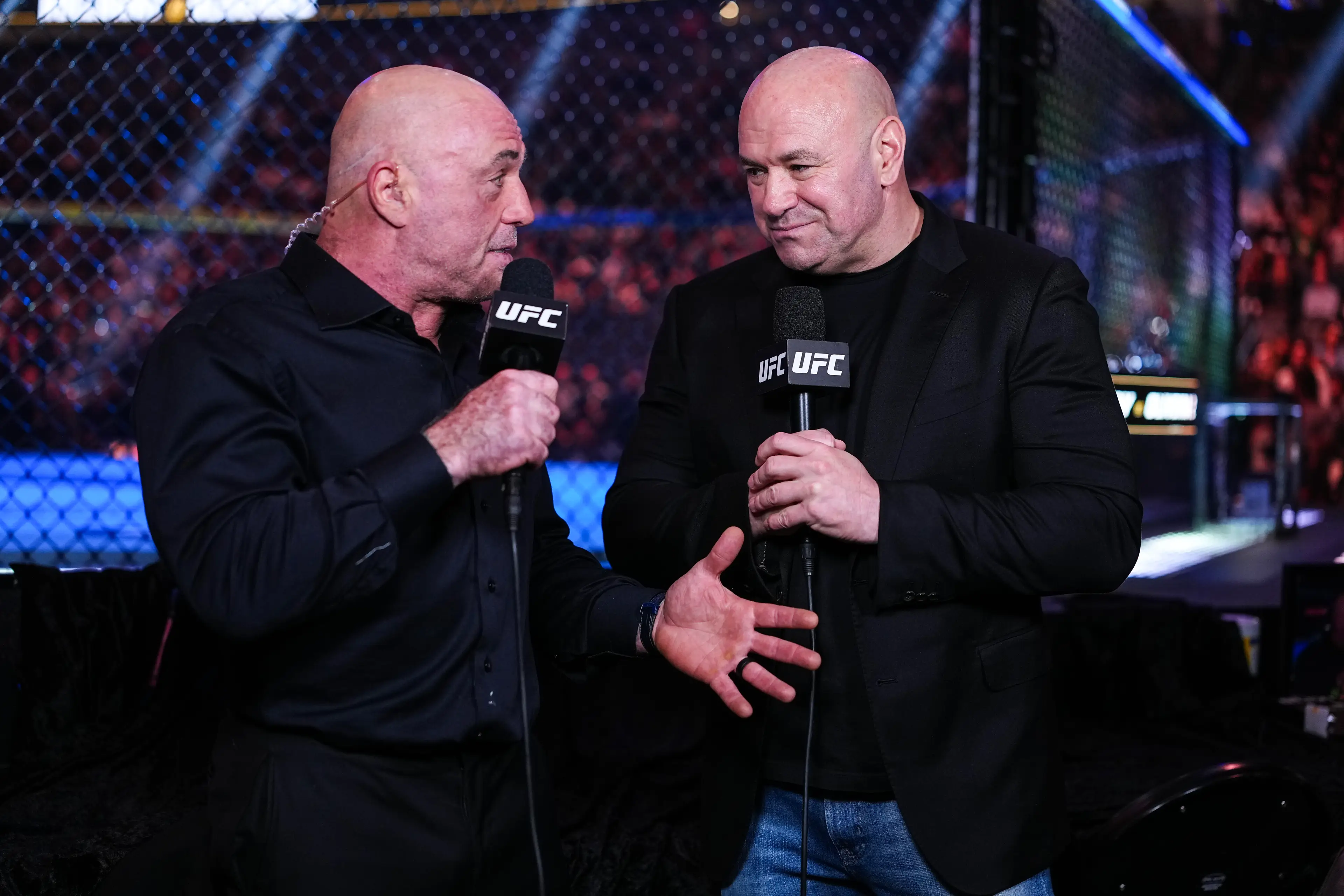 UFC reportedly believe they do not require a permit. Image: Getty