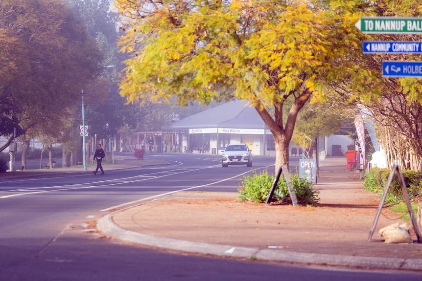 The main street of a small town depicting a single car and large tree.