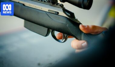 Impassioned plea from Tasmania's top cop no match for political realities on gun ownership caps