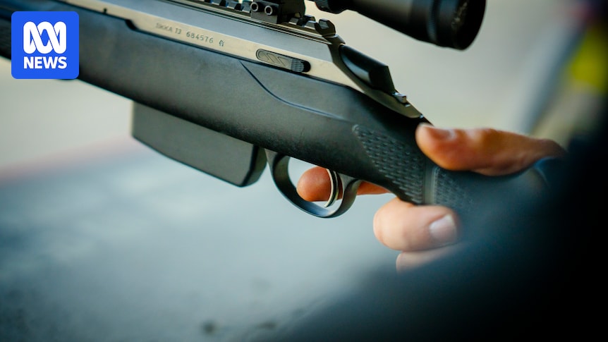 Impassioned plea from Tasmania's top cop no match for political realities on gun ownership caps