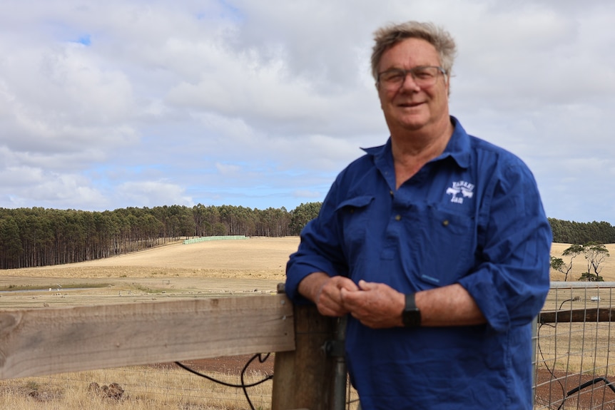 a man leans on a fence in front of a paddock