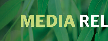 Adam Bandt to DJ at Lime Green Festival – News Hub