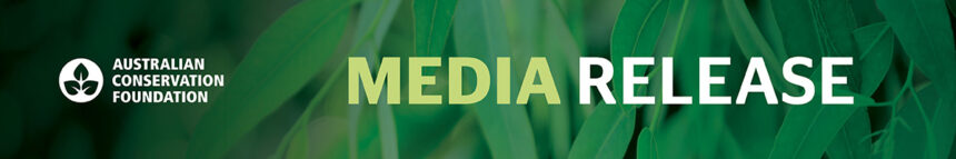 Adam Bandt to DJ at Lime Green Festival – News Hub