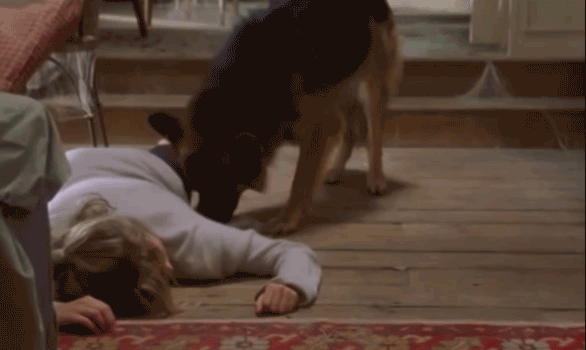 A looped GIF of Bridget Jones laying on the floor with a dog sniffing her.