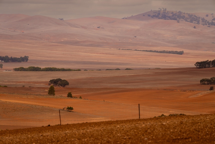 A landcape shot of red-coloured dirt near Orroroo.