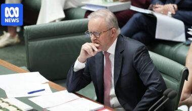 The government is not speaking plainly about joining the war effort in the Middle East