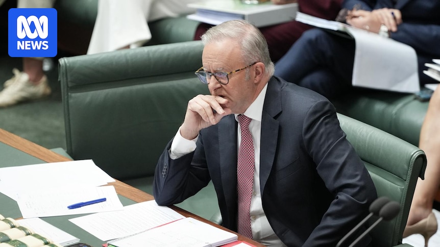 The government is not speaking plainly about joining the war effort in the Middle East