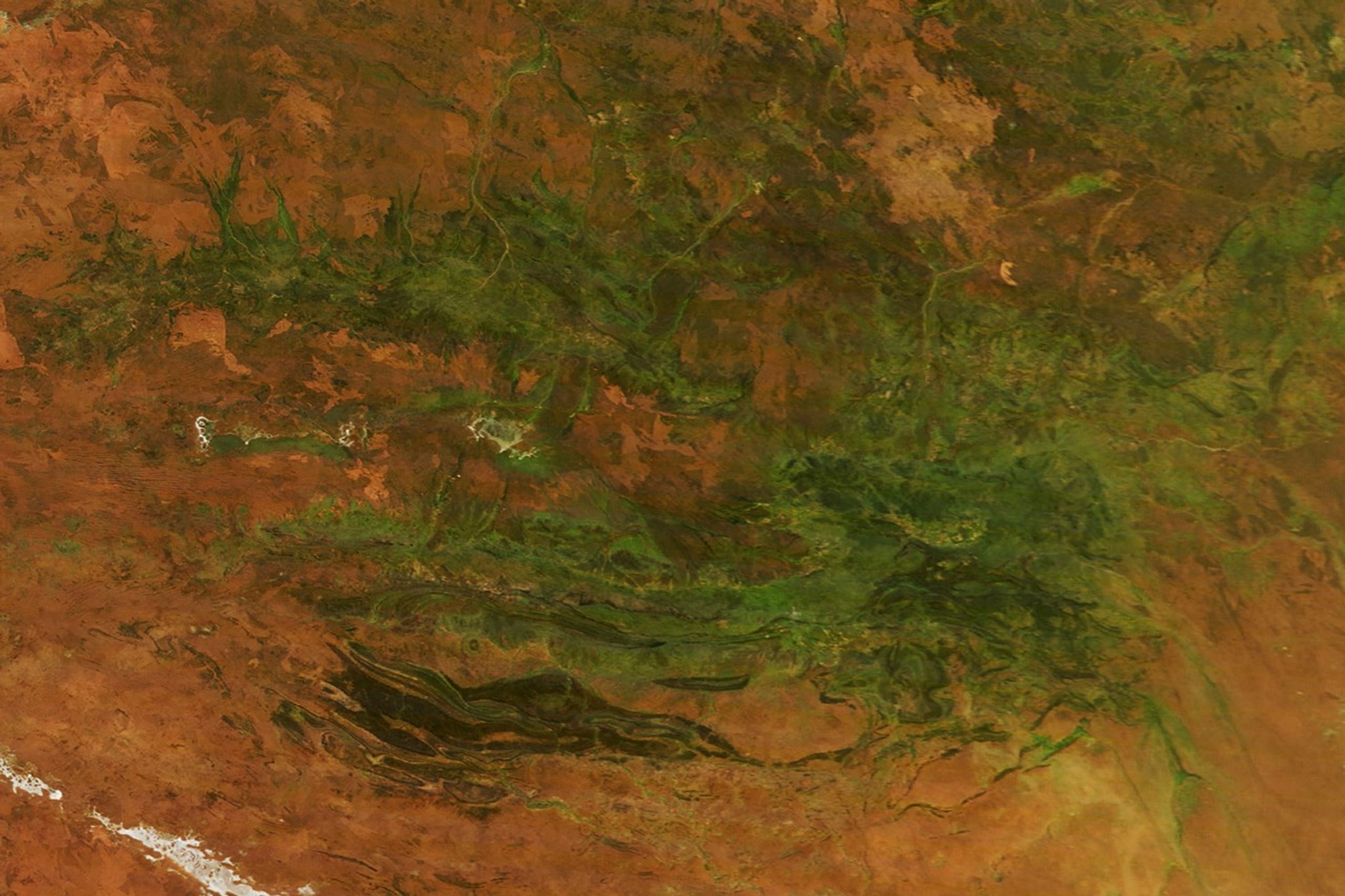 Central Australia’s desert landscape shows widespread green vegetation across areas that are typically red.