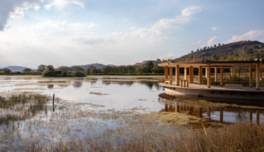 circular timber pavilion anchors wildlife and wetland restoration park in mexico