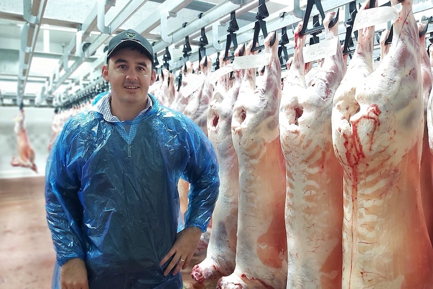 A man standing near lamb carcasses inside a meat processing abattoir.