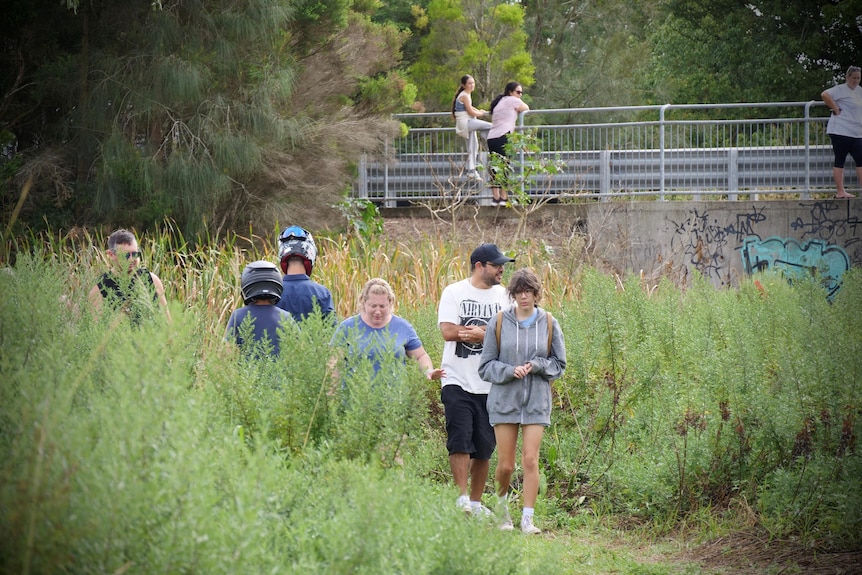 Dozens of people walking down to the creek, searching for a crocodile