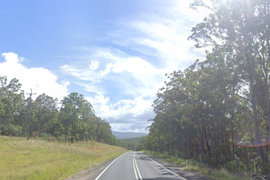 A tree-lined country road.