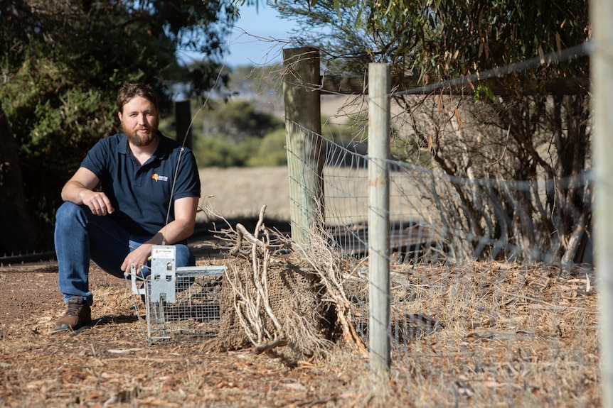 A man kneeling next to a metal cat trap, next to a wire fence