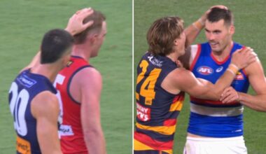 AFL quickly introduces new rule to stamp out head ruffling: ‘Fake tough guy’