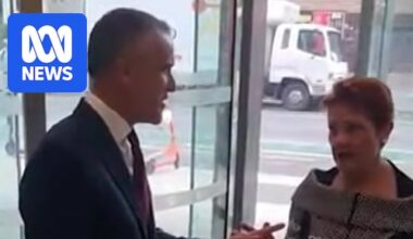 Pauline Hanson in confrontations with SA premier and MP as One Nation poll support continues