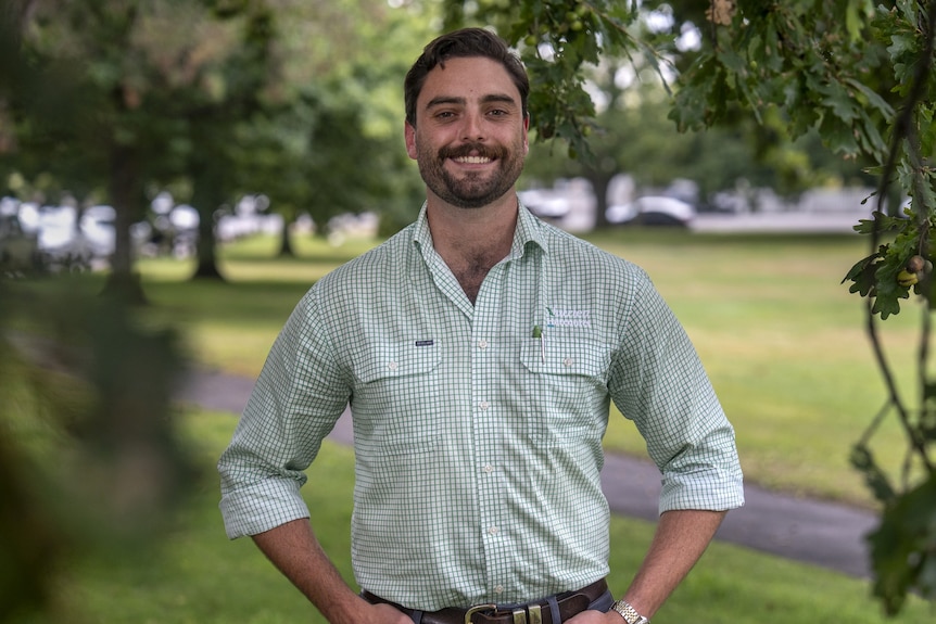 a man stands on green lawn surrounded by oak trees