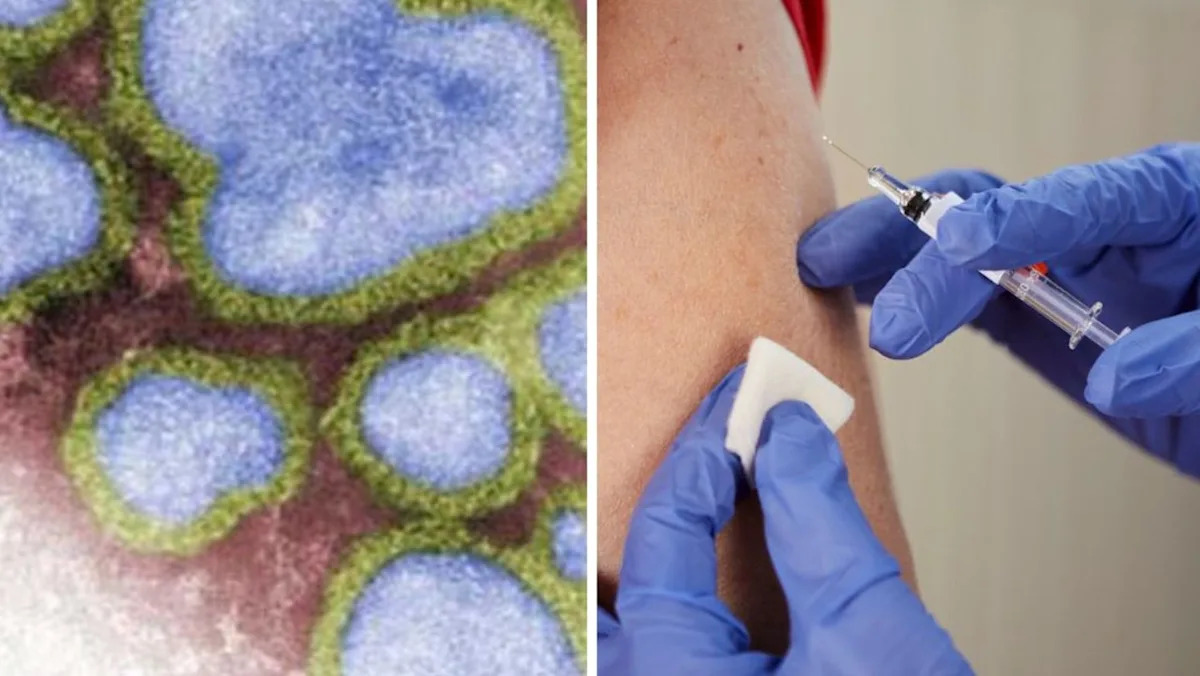 ‘Horror’ flu surge sparks urgent call