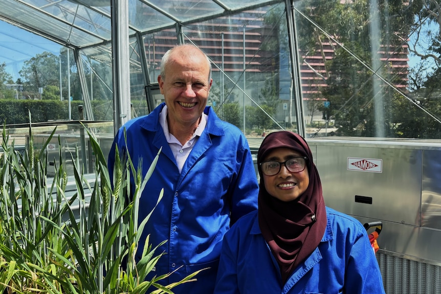 A man and a woman with a hijab smiling at the camera in a greenhouse.