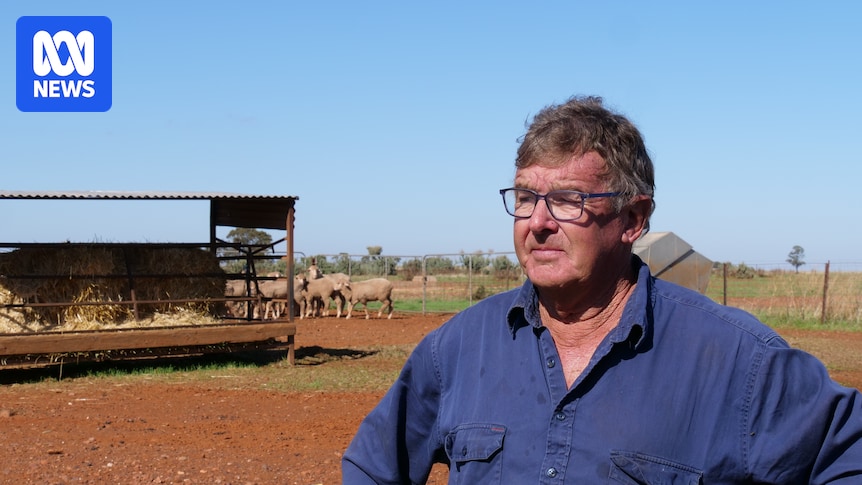 Record-breaking rainfall has inundated SA's worst-hit regions, but is this the end of the drought?