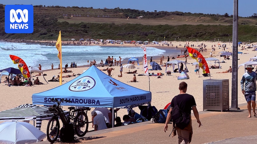 Free parking at popular Sydney beaches could end under new proposal