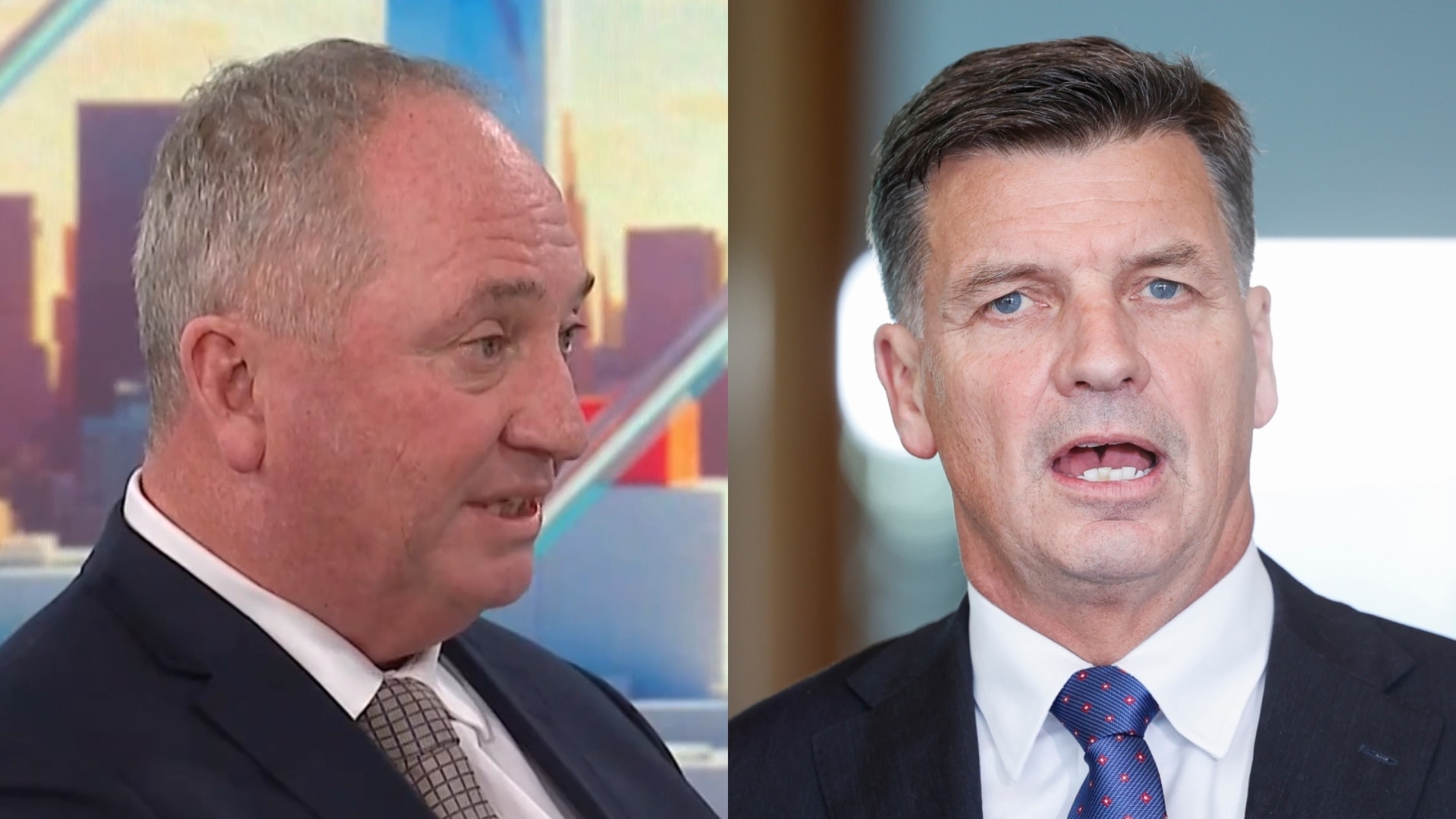 ‘Million miles away apart’: Barnaby Joyce calls out Coalition’s policy disunity