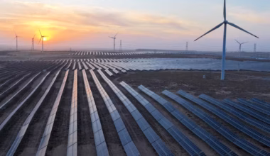 Subscribe to The Australian | Newspaper home delivery, website, iPad, iPhone & Android apps