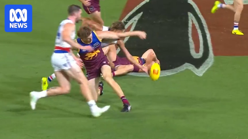 Brisbane Lions to fight Harris Andrews and Darcy Gardiner bans at AFL tribunal