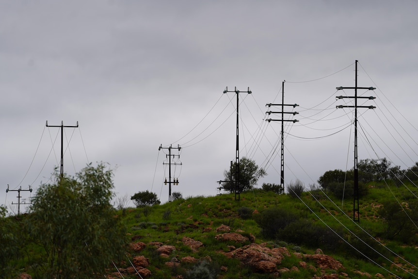 A group of six powerlines, varying distances from the camera, standing on hill near green bushes on top of red dirt.