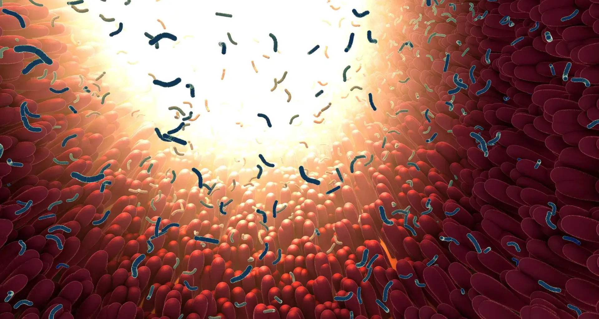 MIT scientists discover gut protein that traps and kills dangerous bacteria