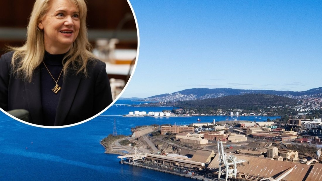 Mayors push for ongoing Derwent Estuary Program funding