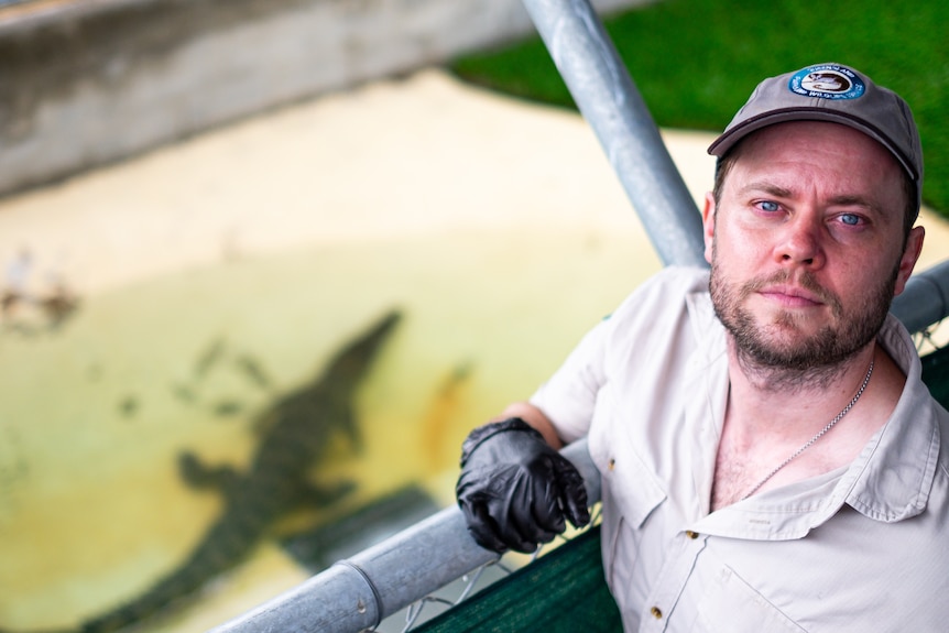 Man standing above pool containing crocodile.