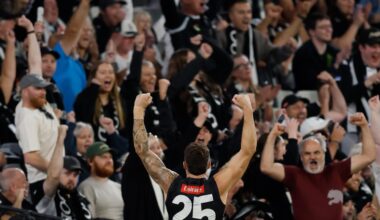 Have your say: Crowds plunge – so, why didn’t you go to the footy?