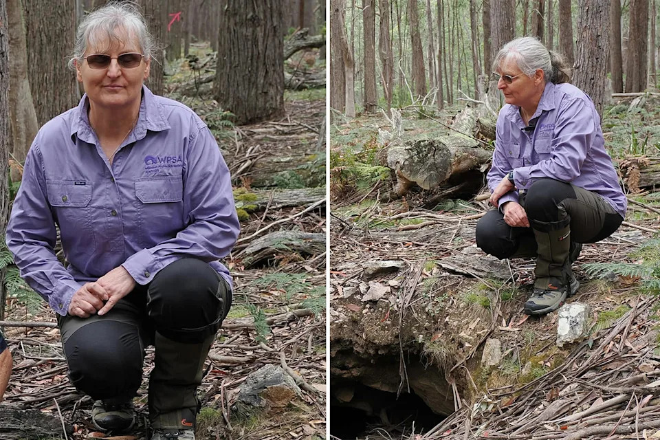 WPSA's Marie Wynan standing in a forest beside a wombat burrow. 