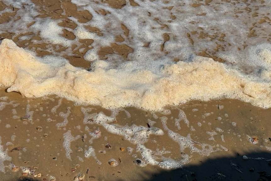 Foam on the tideline at a beach.