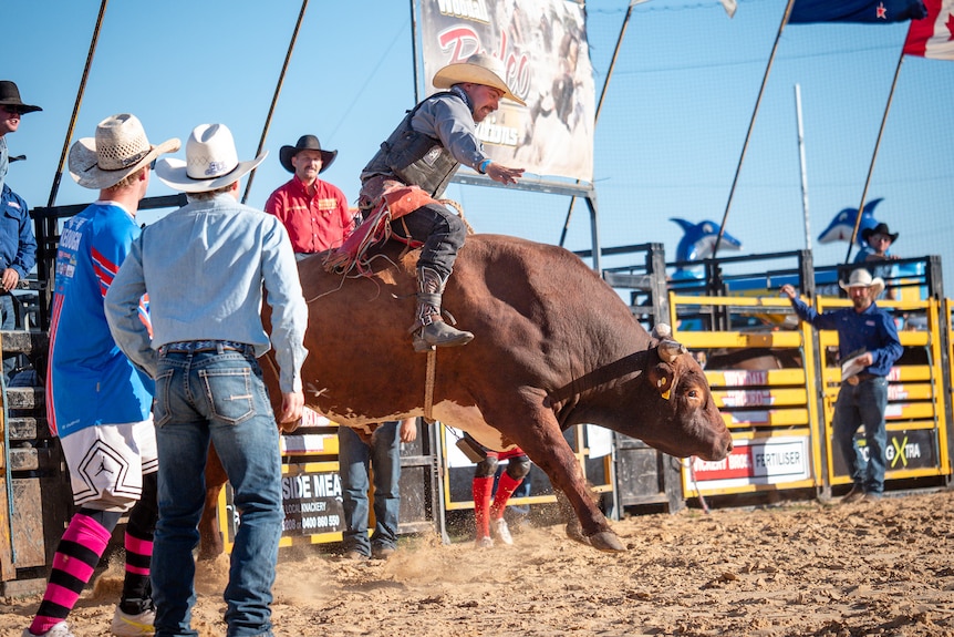 A bullrider grits his teeth upon leaving the chutes in Dartmoor. 