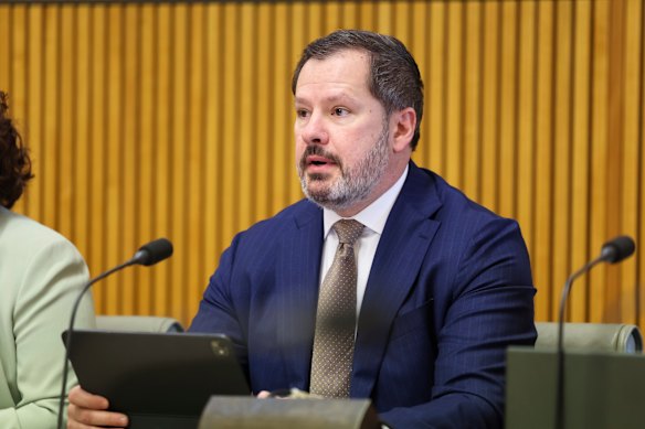 Labor backbencher Ed Husic has warned the government not to take a “simplistic and basic” approach to AI regulation.