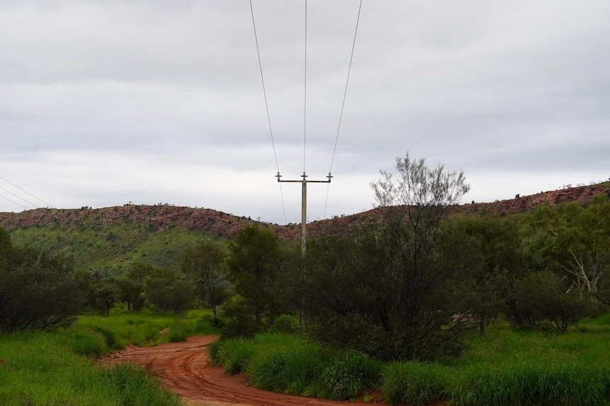 Wide shot of a powerline, running above head and into the distance of a green landscape and rocky mountain.