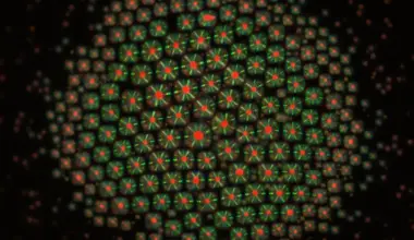 Microbial Ancestor of Complex Life More Sophisticated