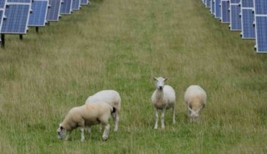 “Brilliant economics”: Offtake deal seals delivery of Australia’s biggest solar-battery hybrid project