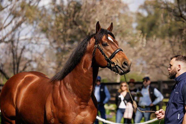 Home Affairs, click for more info.