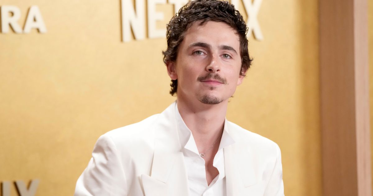 Ballet Dancers, Opera Singers Are Mad at Timothée Chalamet